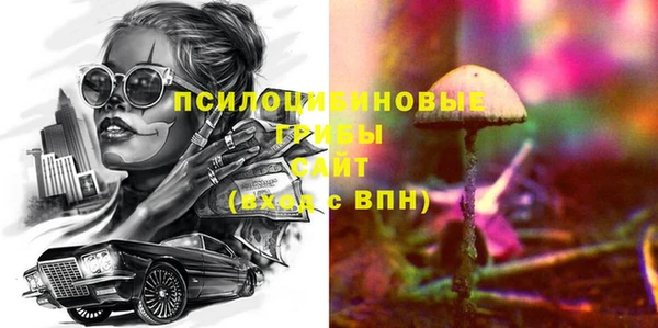 МДПВ Билибино
