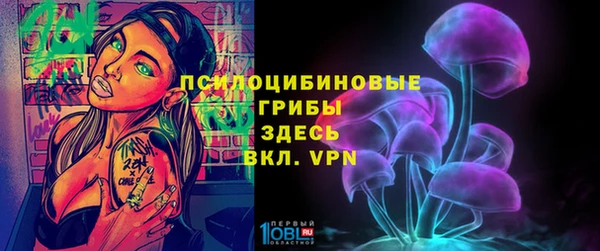 МДПВ Билибино