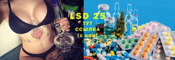 ешки Вяземский