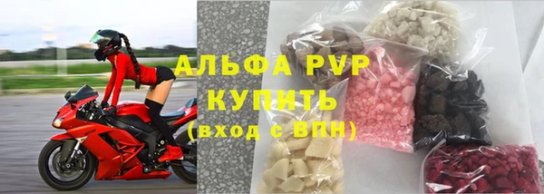 прущие крисы Беслан