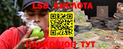 кокс Донской