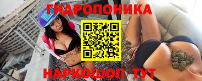 кокс Донской