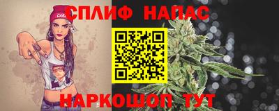 скорость Дубна