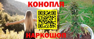кокс Донской