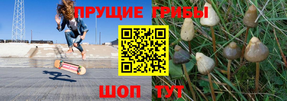 Галлюциногенные грибы Magic Shrooms Лыткарино