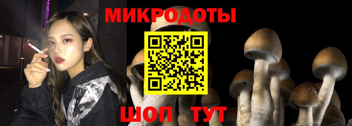 Лыткарино  Галлюциногенные грибы MAGIC MUSHROOMS  Вход с VPN 